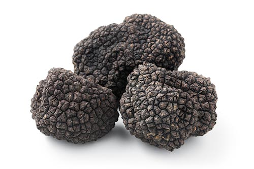 When is White and Black Truffle Season? | First Choice Produce
